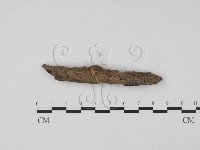 登錄號:F0007985藏品圖，第1張