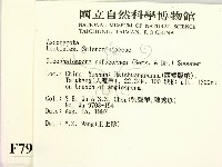 登錄號:F0007986藏品圖，第2張