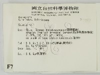 炭角菌屬藏品圖，第2張