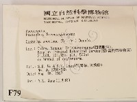 登錄號:F0007990藏品圖，第2張