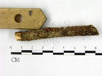 登錄號:F0007991藏品圖，第3張