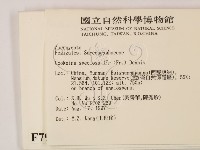 登錄號:F0007993藏品圖，第2張