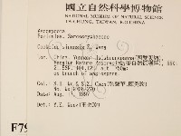 登錄號:F0007994藏品圖，第2張