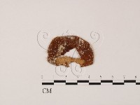 登錄號:F0007994藏品圖，第1張
