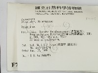 炭角菌屬藏品圖，第2張