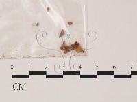 登錄號:F0007997藏品圖，第1張