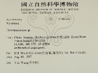登錄號:F0007998藏品圖，第2張