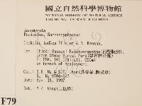 登錄號:F0007999藏品圖，第2張