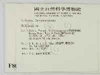 登錄號:F0008000藏品圖，第2張