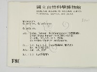 炭角菌屬藏品圖，第2張