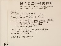登錄號:F0008002藏品圖，第2張