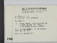 黑粉菌屬藏品圖，第2張