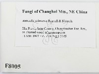 登錄號:F0008005藏品圖，第2張