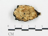 登錄號:F0008005藏品圖，第1張
