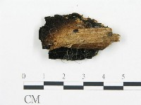 登錄號:F0008005藏品圖，第3張