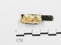 登錄號:F0008006藏品圖，第1張