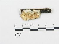 登錄號:F0008006藏品圖，第3張