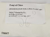 登錄號:F0008007藏品圖，第2張