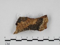 登錄號:F0008007藏品圖，第3張