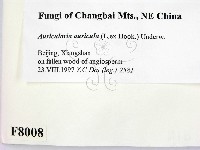 登錄號:F0008008藏品圖，第2張