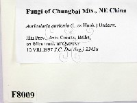 登錄號:F0008009藏品圖，第2張