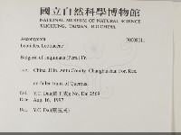 登錄號:F0008011藏品圖，第2張