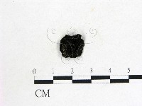 登錄號:F0008011藏品圖，第1張