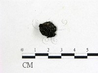 登錄號:F0008011藏品圖，第3張