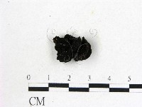 登錄號:F0008012藏品圖，第1張