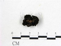 登錄號:F0008012藏品圖，第3張