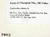 登錄號:F0008013藏品圖，第2張