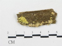 登錄號:F0008014藏品圖，第1張