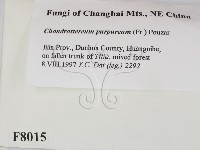 登錄號:F0008015藏品圖，第2張