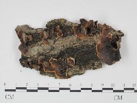 登錄號:F0008015藏品圖，第1張