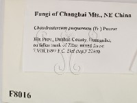 登錄號:F0008016藏品圖，第2張