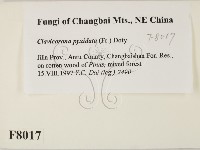 登錄號:F0008017藏品圖，第2張