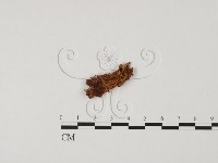 登錄號:F0008017藏品圖，第3張