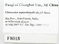 登錄號:F0008018藏品圖，第2張