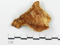 登錄號:F0008018藏品圖，第3張