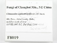 登錄號:F0008019藏品圖，第2張