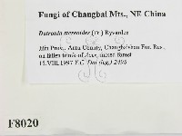 登錄號:F0008020藏品圖，第2張