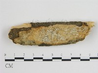 登錄號:F0008020藏品圖，第1張