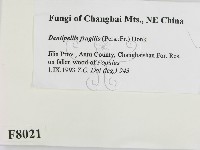 登錄號:F0008021藏品圖，第2張