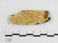 登錄號:F0008021藏品圖，第1張