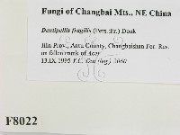 登錄號:F0008022藏品圖，第2張