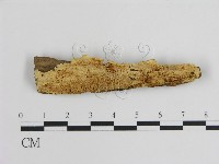 登錄號:F0008023藏品圖，第1張