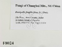 登錄號:F0008024藏品圖，第2張