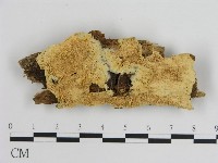 登錄號:F0008024藏品圖，第1張