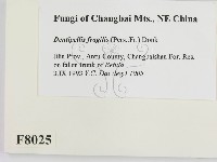 登錄號:F0008025藏品圖，第2張