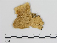 登錄號:F0008025藏品圖，第1張